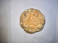 Banana Pudding Cookie